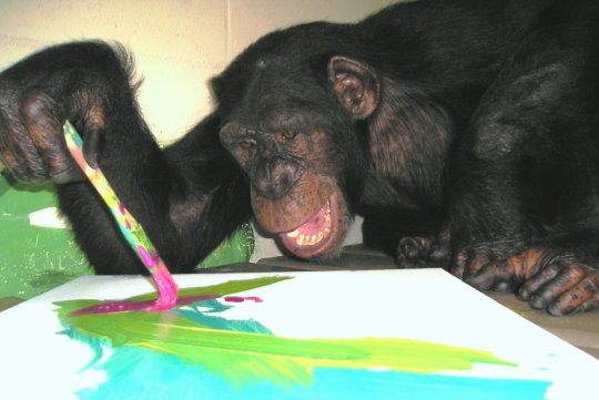 მხატვარი შიმპანზე