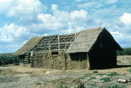 დუნაის ხალხების სახლის არქიტექტურა