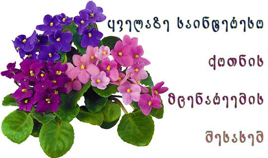 ყველაზე საინტერესო ქოთნის
მცენარეების შესახებ (მოვლა, გახარება,
გამრავლება...) image