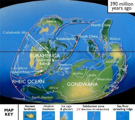 დედამიწა 390 მილიონი წლის წინ