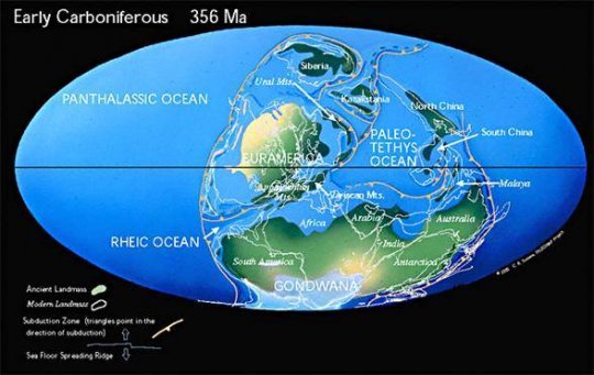 დედამიწა 356 მილიონი წლის წინ