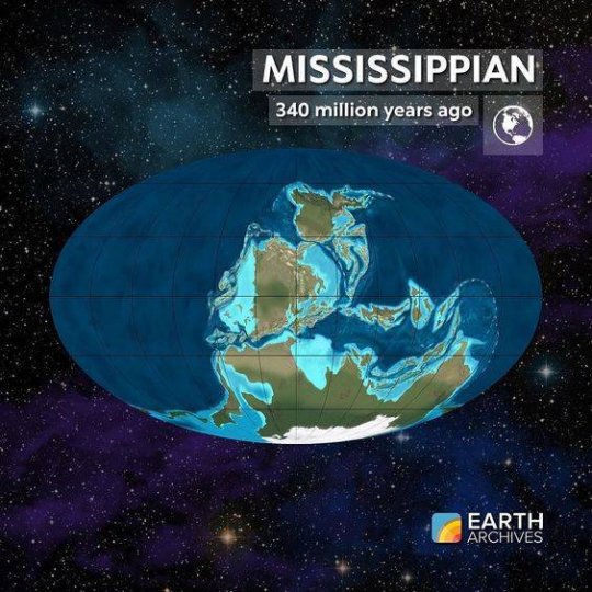 დედამიწა 340 მილიონი წლის წინ