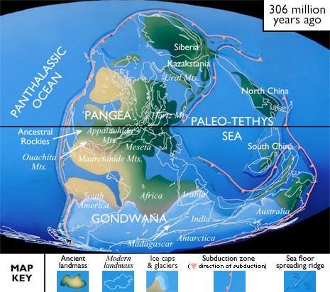დედამიწა 306 მილიონი წლის წინ