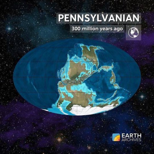 დედამიწა 300 მილიონი წლის წინ