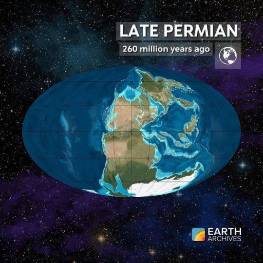 დედამიწა 260 მილიონი წლის წინ