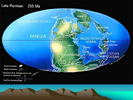 დედამიწა 255 მილიონი წლის წინ