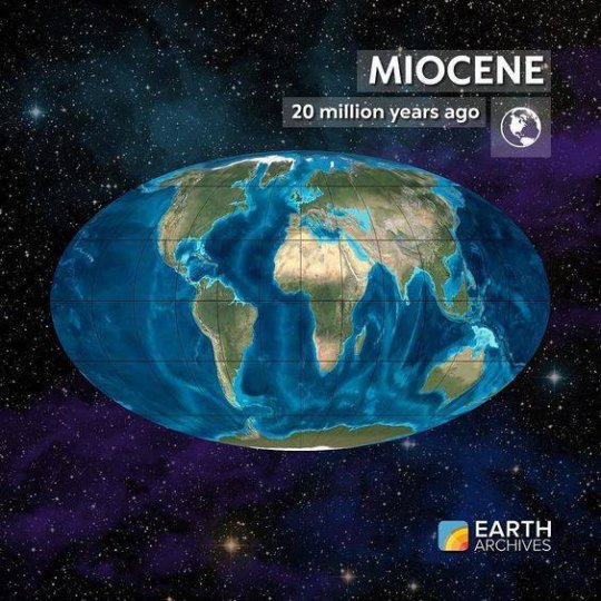 დედამიწა 20 მილიონი წლის წინ