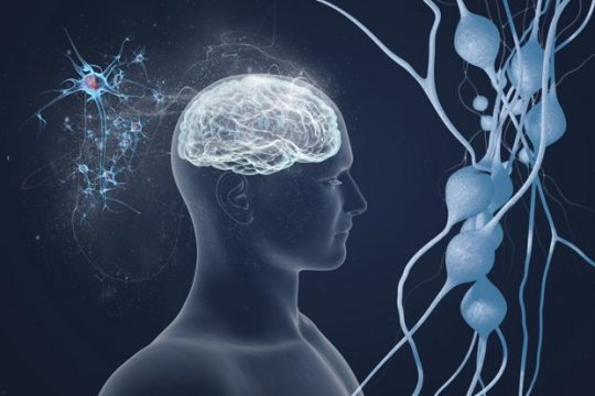 ნევროლოგია - ადამიანის თავის ტვინი - მიკროსამყარო მაკროსამყაროში