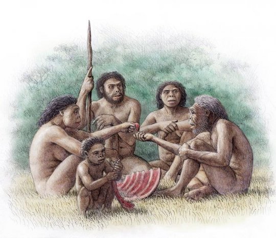 პირველი ევროპელები - Homo georgicus - ქართველი ადამიანი (რეკონსტრუქციები)