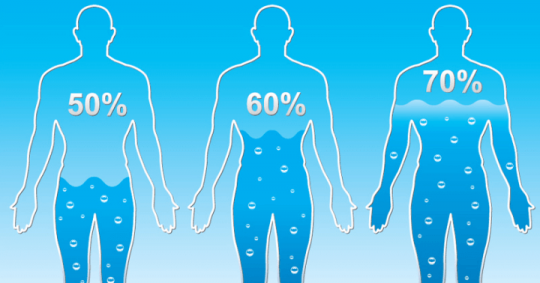 ადამიანის ორგანიზმის რამდენ პროცენტს შეადგენს წყალი?