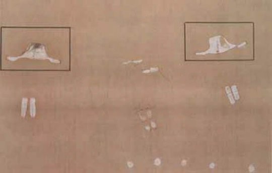 "მფრინავი თეფშების" 290 საუკუნის წინანდელი გამოსახულებები ტანზანიაში