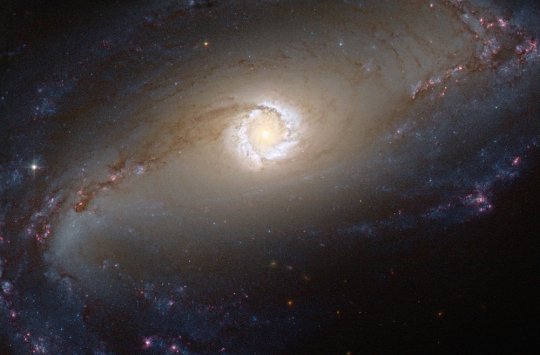 სეიფერტის გალაქტიკა NGC 1097