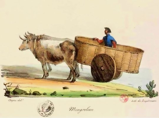 მეგრელი კაცი. ჟან ფრანსუა გამბა. 1826.