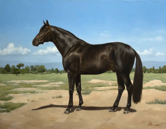 "ცხენი" - ბრუნო ვეფხვაძე