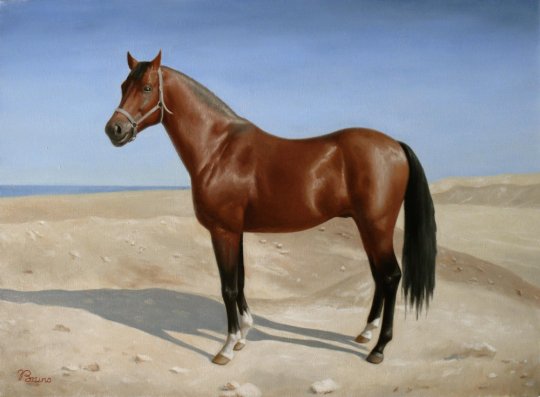 "ცხენი" - ბრუნო ვეფხვაძე