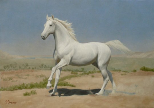 "თეთრი ცხენი" - ბრუნო ვეფხვაძე