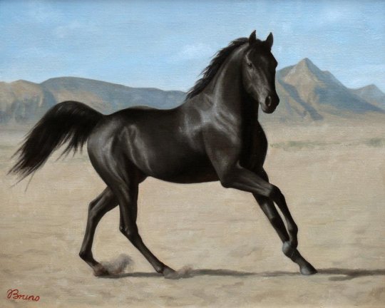 "შავი ცხენი" - ბრუნო ვეფხვაძე