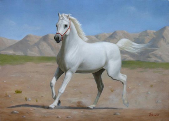 "თეთრი ცხენი" - ბრუნო ვეფხვაძე