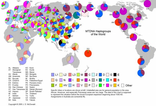 მიტოქონდრიული დნმ მსოფლიოში 
