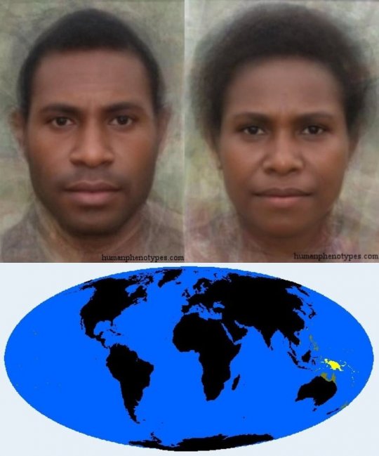 მელანეზიური ქვერასა (Melanesid)