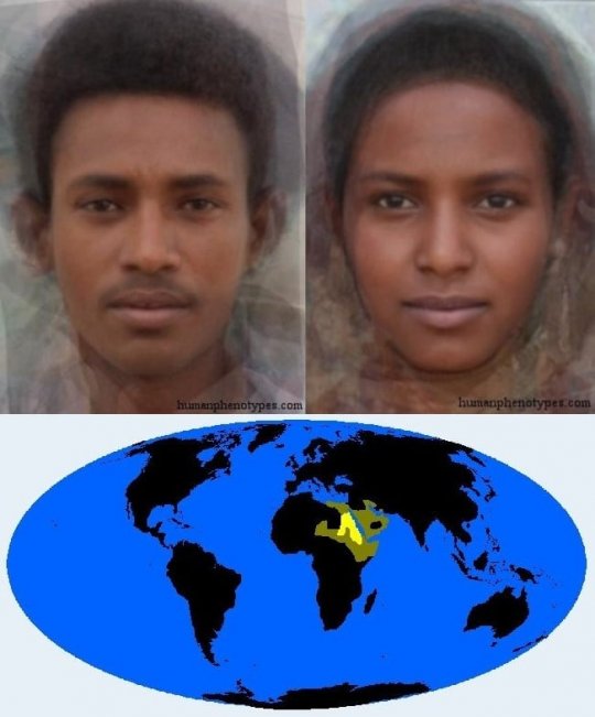 ჩრდილოეთ ეთიოპიდი (North Ethiopid)
