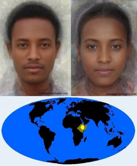 ცენტრალური ეთიოპიდი (Central Ethiopid)
