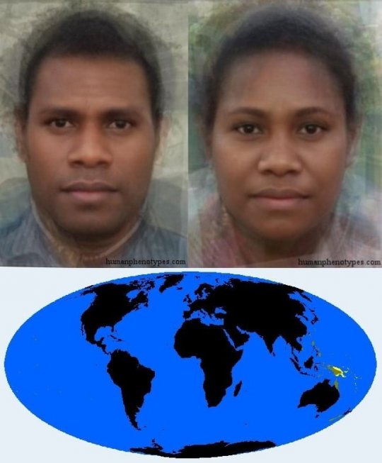 კუნძულელი მელანეზიდი (Insular Melanesid)