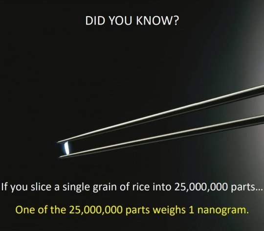 ნანოგრამი - ბრინჯის მარცვალზე 25 მილიონჯერ მცირე წონა