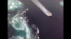 Самый мощный водоворот в мире