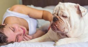 ახალი კვლევით დადგინდა: ქალებს   ძაღლებთან ერთად უფრო კარგად სძინავთ, ვიდრე კაცებთან
