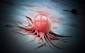 მეცნიერებმა 7 პროდუქტი დაასახელეს, რომელიც სიმსივნურ უჯრედებს ანადგურებს