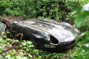 როგორ გააცოცხლეს ძველი Jaguar, რომელიც 30 წელი მიტოვებული იყო
