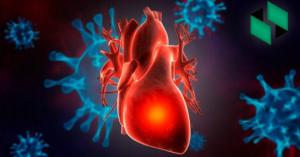როგორ შევამციროთ გულის დაავადების (შეტევის) რისკი? ახალი კვლევა