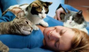 კატა–თერაპია –  როგორ მკურნალობენ კატები ადამიანებს