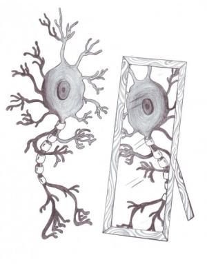 სარკისებრი ნეირონები და მეტყველება