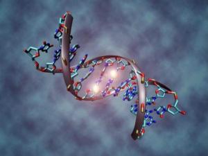 11  საოცარი ფაქტი დნმ-ის შესახებ, რომელიც აუცილებლად უნდა იცოდეთ!