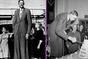 ნახეთ, როგორი იყო მსოფლიოში ყველაზე მაღალი ადამიანი, რობერტ უოდლოუ და რა ბედი ეწია მას