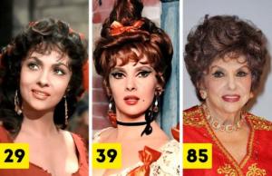 ნახეთ, როგორ გამოიყურებოდნენ XX საუკუნის მთავარი ლამაზმანები სხვადასხვა ასაკში