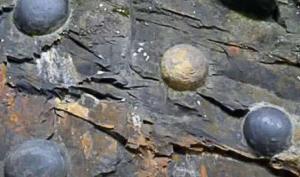 იდუმალი "ქვის კვერცხები", რომელიც კლდეზე 30 წელში ერთხელ ჩნდება (+ ვიდეო)