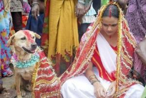 ცრურწმენები ინდოეთში- რატომ აქორწინებენ გოგონებს ძაღლებზე?