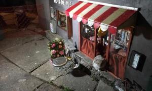 ქალაქ მალმოში გაიხსნა თაგვებისთვის სპეციალური მაღაზიები! (+ფოტოები)