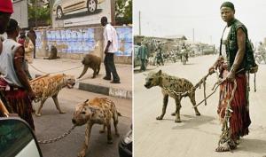 დაუჯერებელია – ნიგერიელები ქუჩაში აფთრებით სეირნობენ