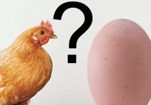 რომელი გაჩნდა უფრო ადრე კვერცხი თუ ქათამი? - მეცნიერებმა პასუხი გასცეს