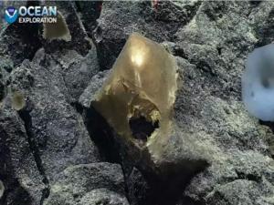 მეცნიერები ცდილობენ გამოიკვლიონ წყნარი ოკეანის ფსკერზე ნაპოვნი ოქროს კვერცხის საიდუმლო