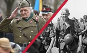 დასჯას გადარჩენილი გერმანული ვერმახტის და ნაცისტური პარტიის შეიარაღებული ორგანიზაციის ყოფილი მებრძოლები