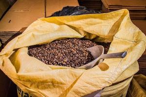 დომინიკური ყავა – როგორ მიმდინარეობს საუკეთესო ყავის წარმოება დომინიკის რესპუბლიკაში