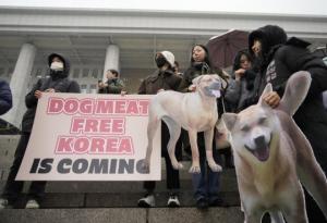 სამხრეთ კორეამ ისტორიული გადაწყვეტილება მიიღო: აკრძალა ძაღლის ხორცის ჭამა