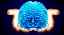 15 საინტერესო ფაქტი თავის ტვინის შესახებ, ეს ყველამ უნდა იცოდეს!!