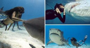 ავსტრალიელი გოგონა,რომელიც 12 წლიდან  ზვიგენებთან ერთად ცურავს