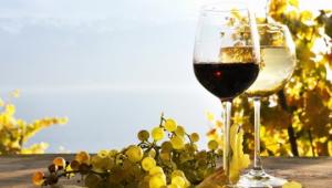 10 ყველაზე ძვირად ღირებული და უნიკალური ქართული ღვინო
